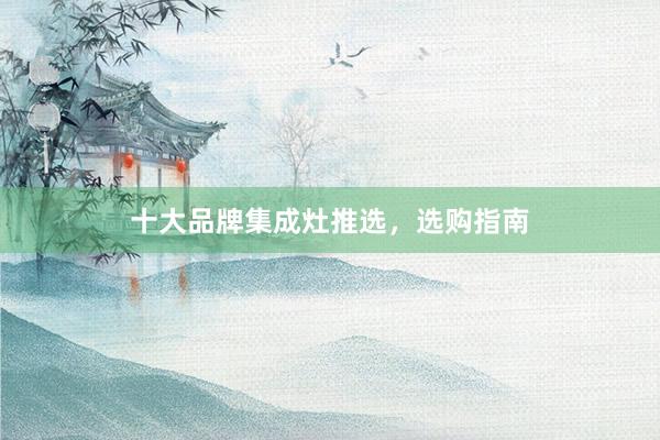 十大品牌集成灶推选，选购指南