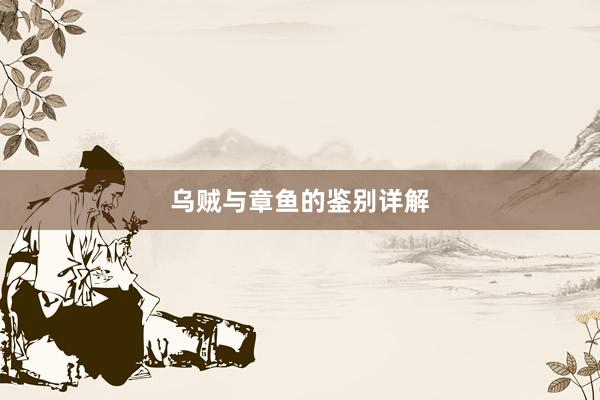 乌贼与章鱼的鉴别详解