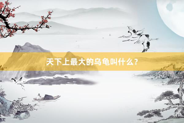 天下上最大的乌龟叫什么？