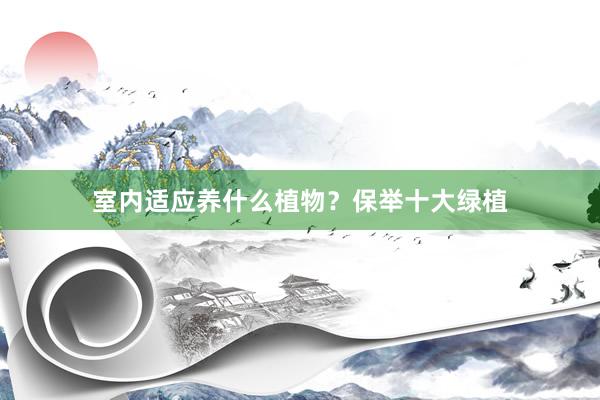 室内适应养什么植物？保举十大绿植