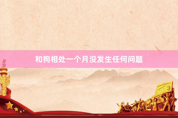 和狗相处一个月没发生任何问题